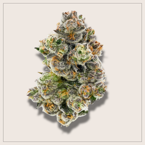 Dried Cannabis Flower