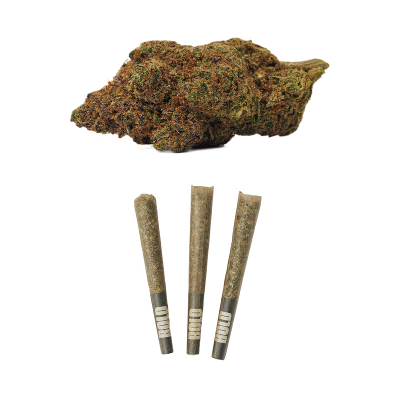 Bold Growth - Orange Crush - Pre-Roll
