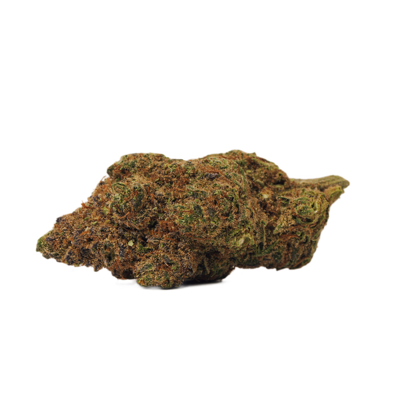 Bold Growth - Orange Crush