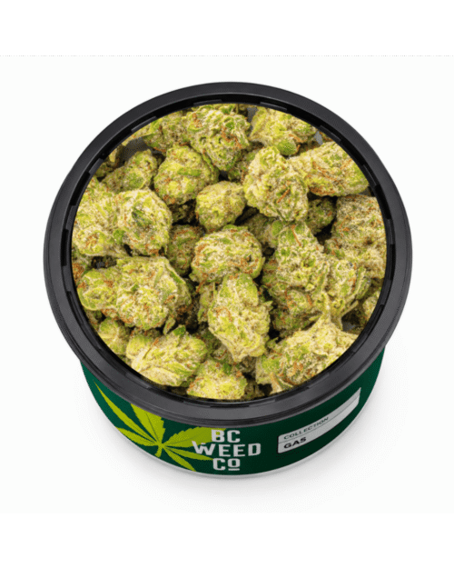 New Arrivals – Prairie Cannabis – 8th Street