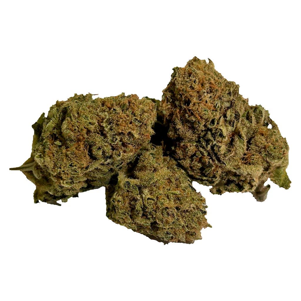 Dykstra Greenhouses - Happy Daze