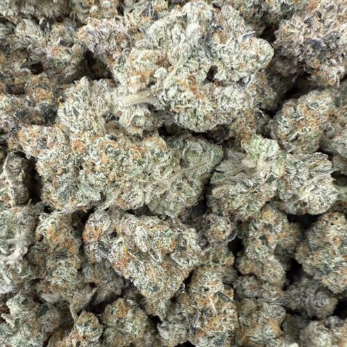 Skunkle - Gas Leak